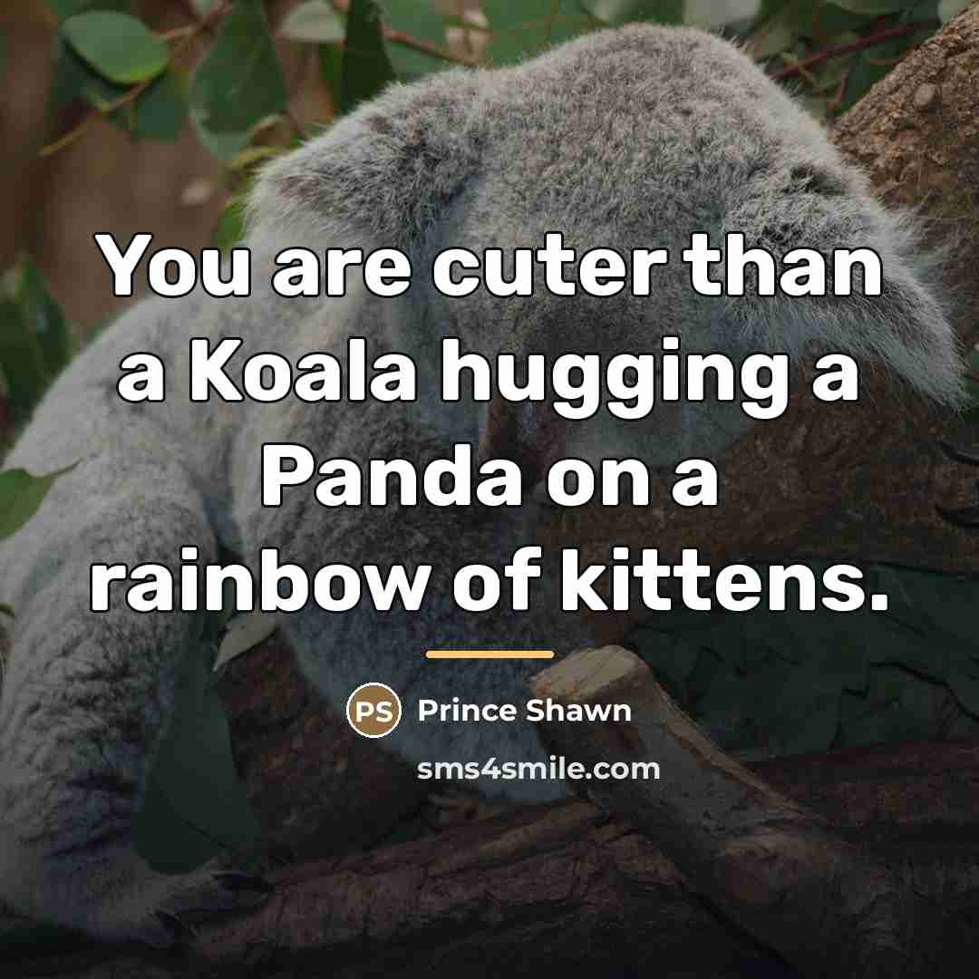 “You are cuter than a Koala hugging a Panda on…” quote by Prince Shawn