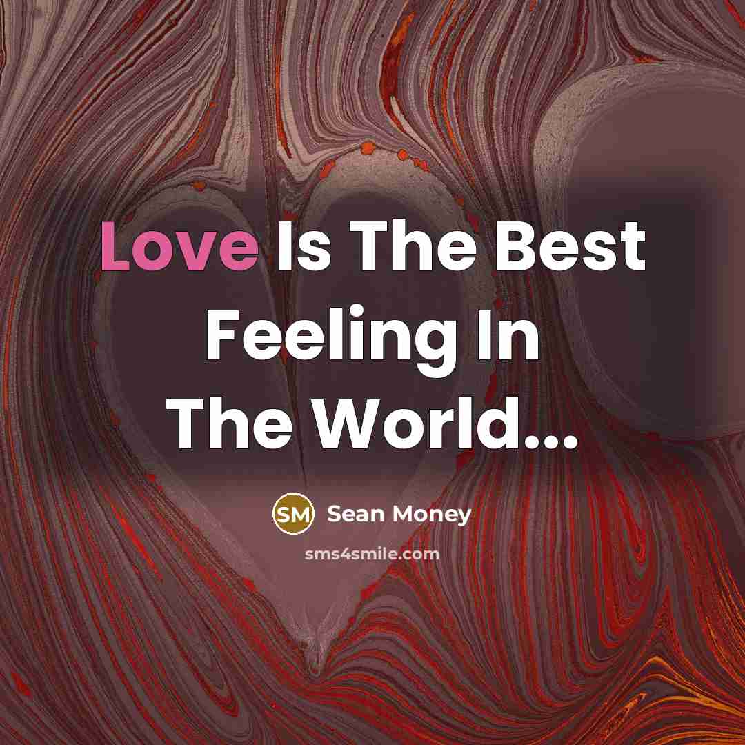 “Love Is The Best Feeling In The World...” quote by Sean Money