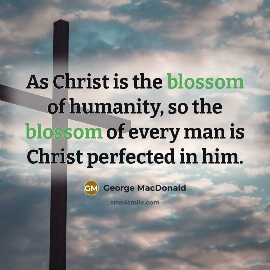 “As Christ is the blossom of humanity, so the blossom…” quote by George MacDonald