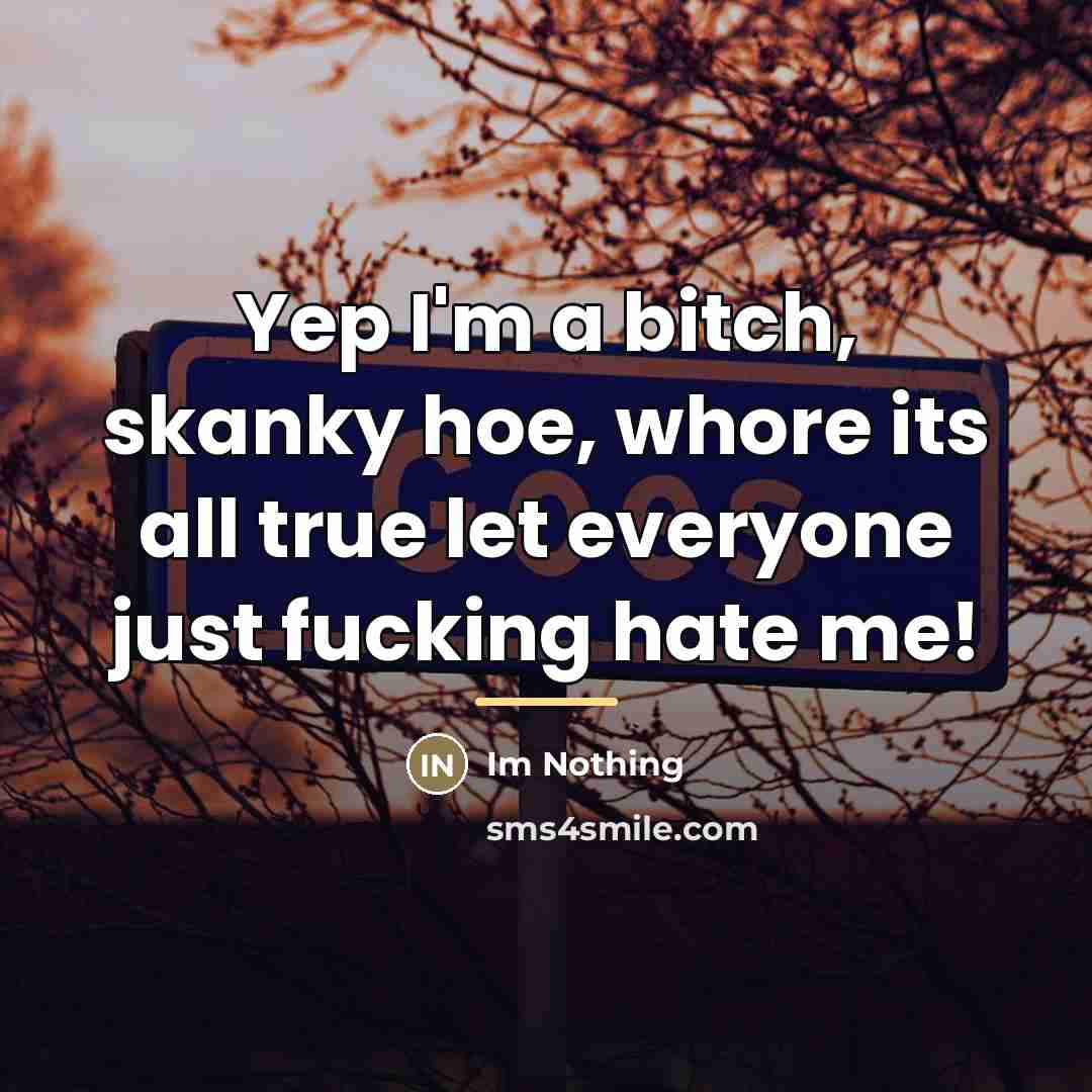 “Yep I'm a bitch, skanky hoe, whore its all true…” quote by Im Nothing