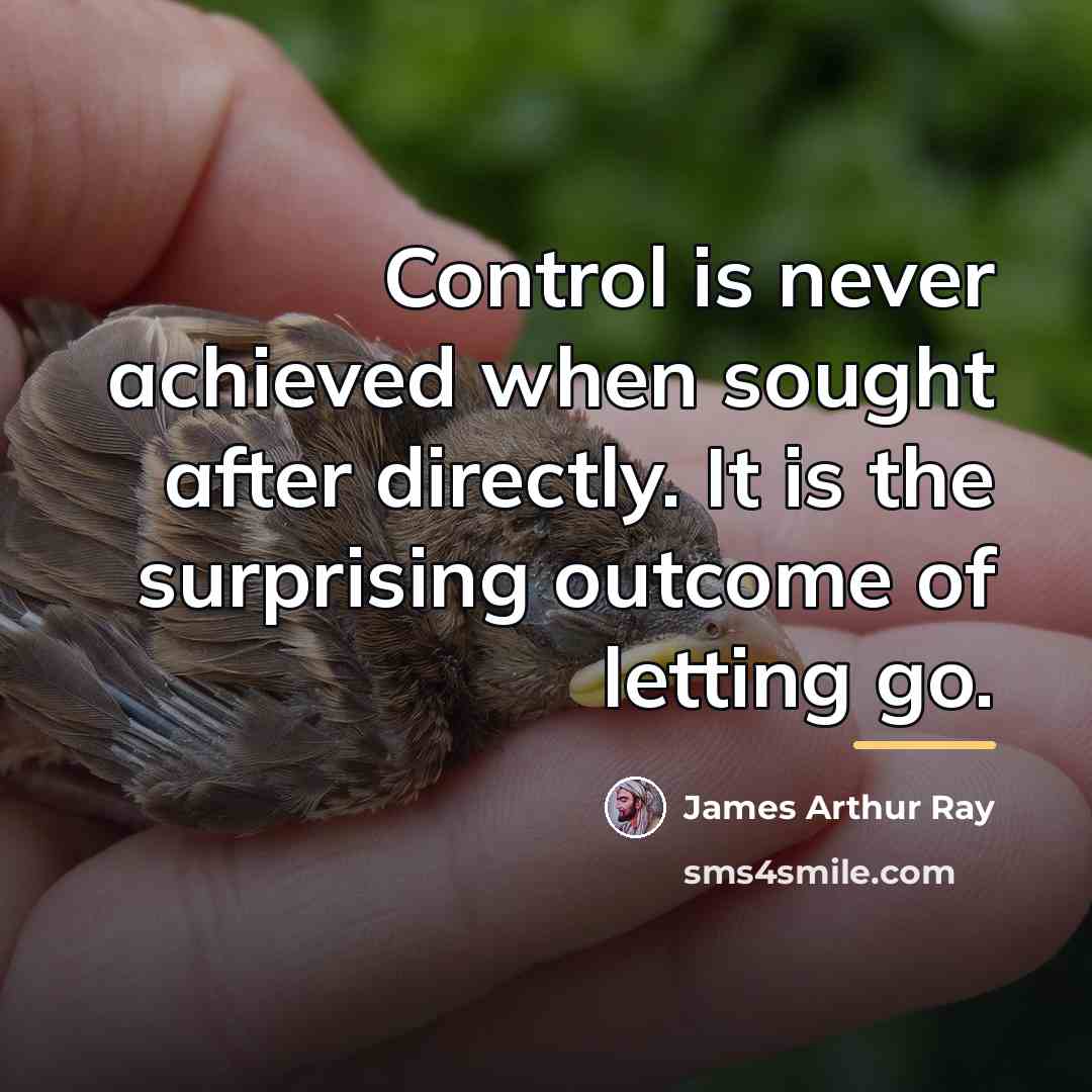 “Control is never achieved when sought after directly. It is…” quote by James Arthur Ray