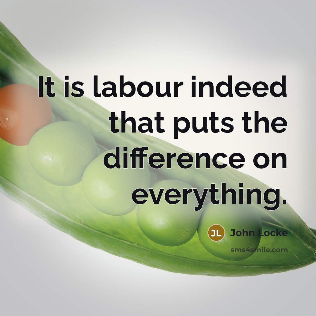 “It is labour indeed that puts the difference on everything.” quote by John Locke