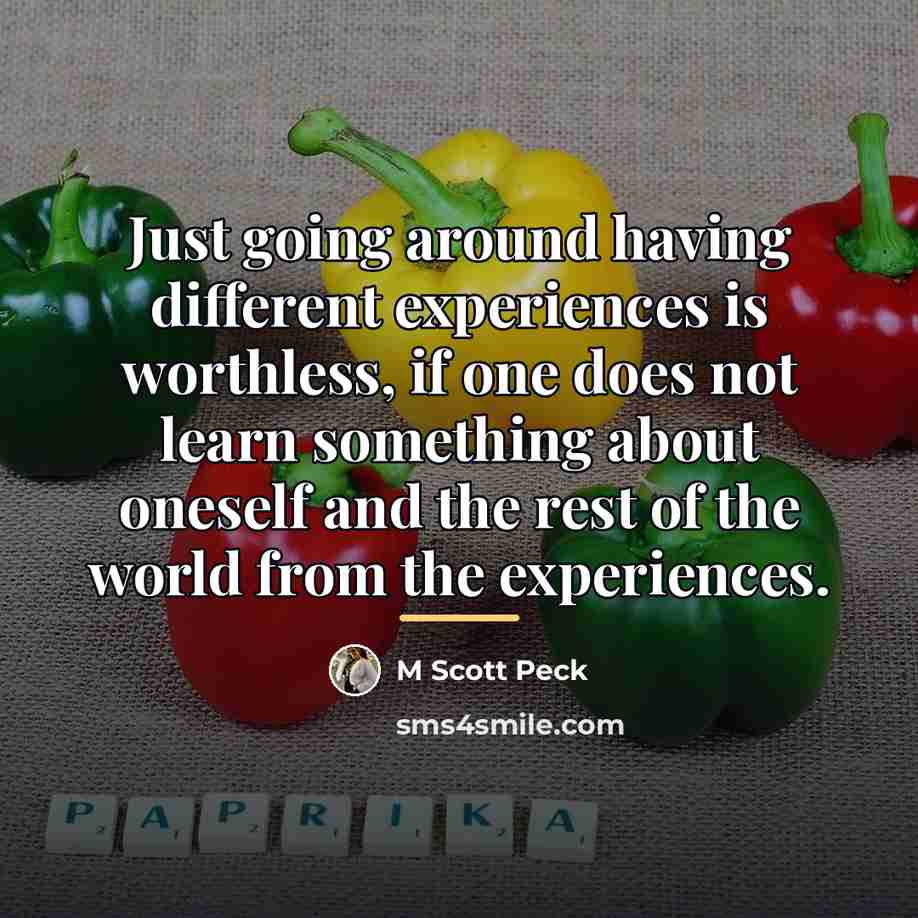 “Just going around having different experiences is worthless, if one…” quote by M Scott Peck
