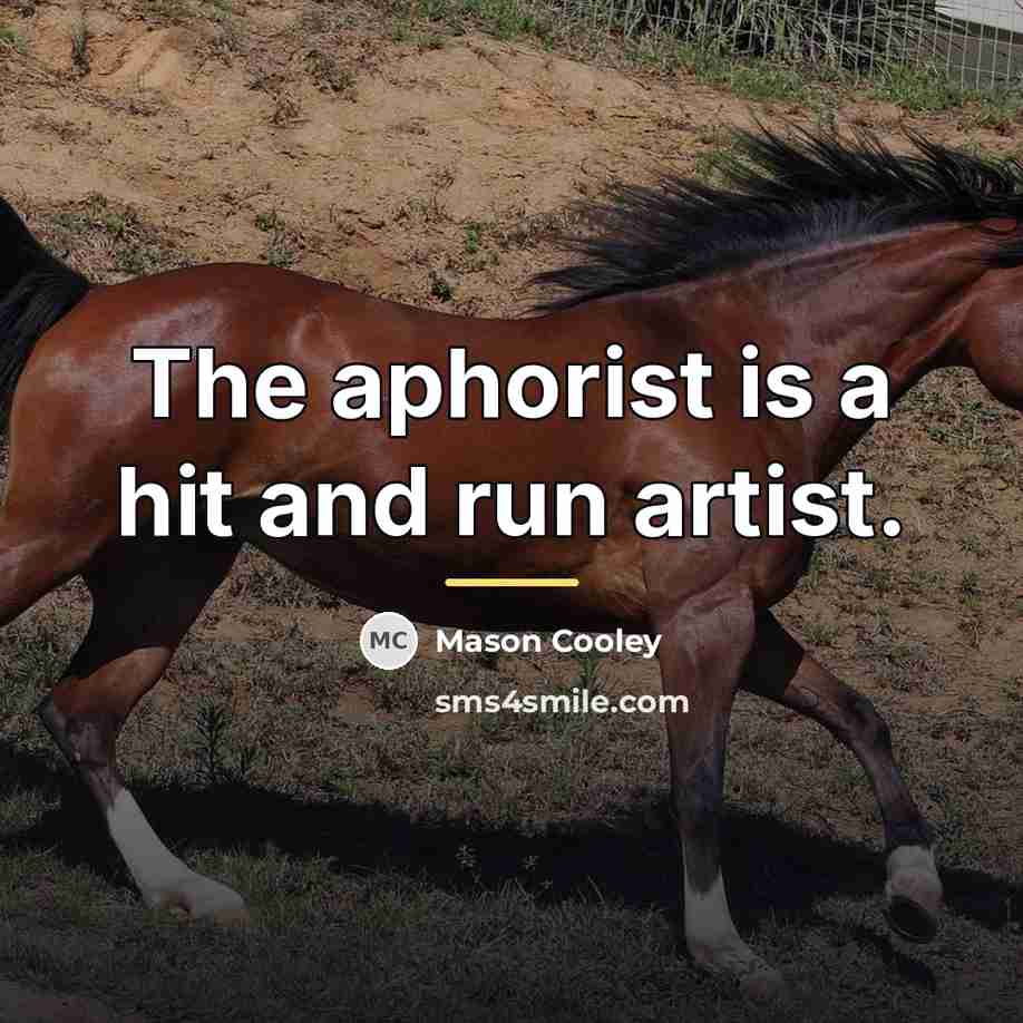 “The aphorist is a hit and run artist.…” quote by Mason Cooley