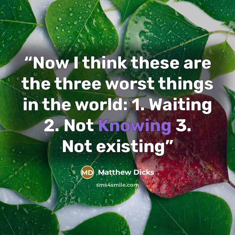 “Now I think these are the three worst things in the world: 1. Waiting 2. Not Knowing 3. Not existing” quote by Matthew Dicks