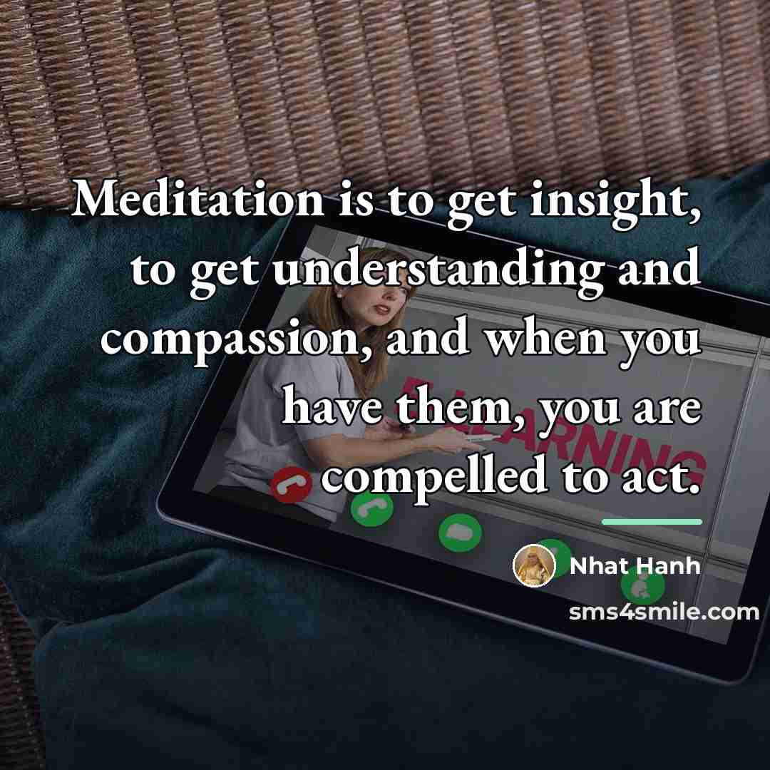 “Meditation is to get insight, to get understanding and compassion,…” quote by Nhat Hanh