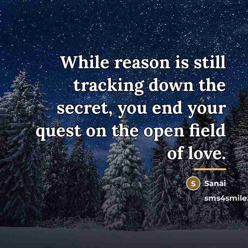 “While reason is still tracking down the secret, you end…” quote by Sanai