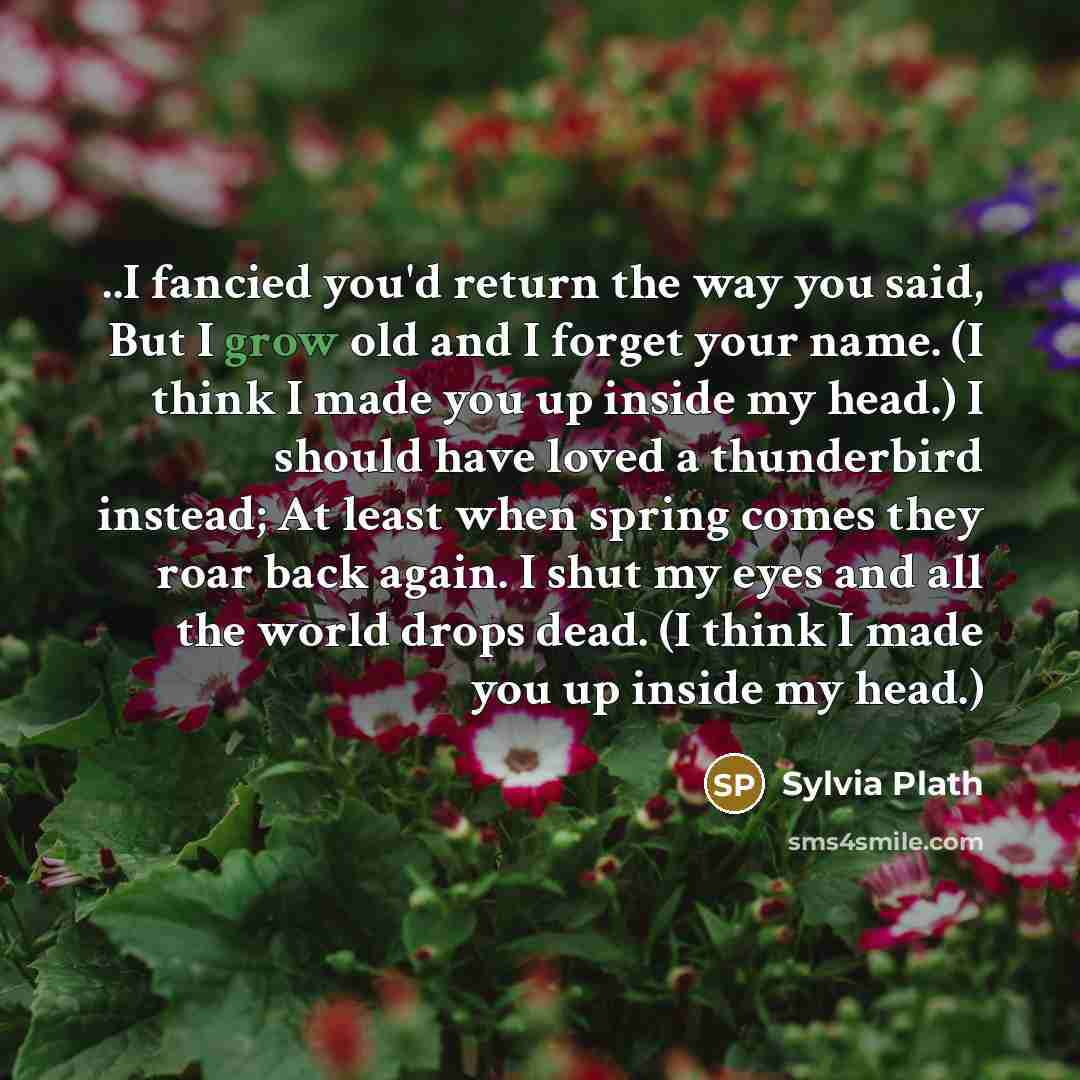 “..I fancied you'd return the way you said, But I…” quote by Sylvia Plath