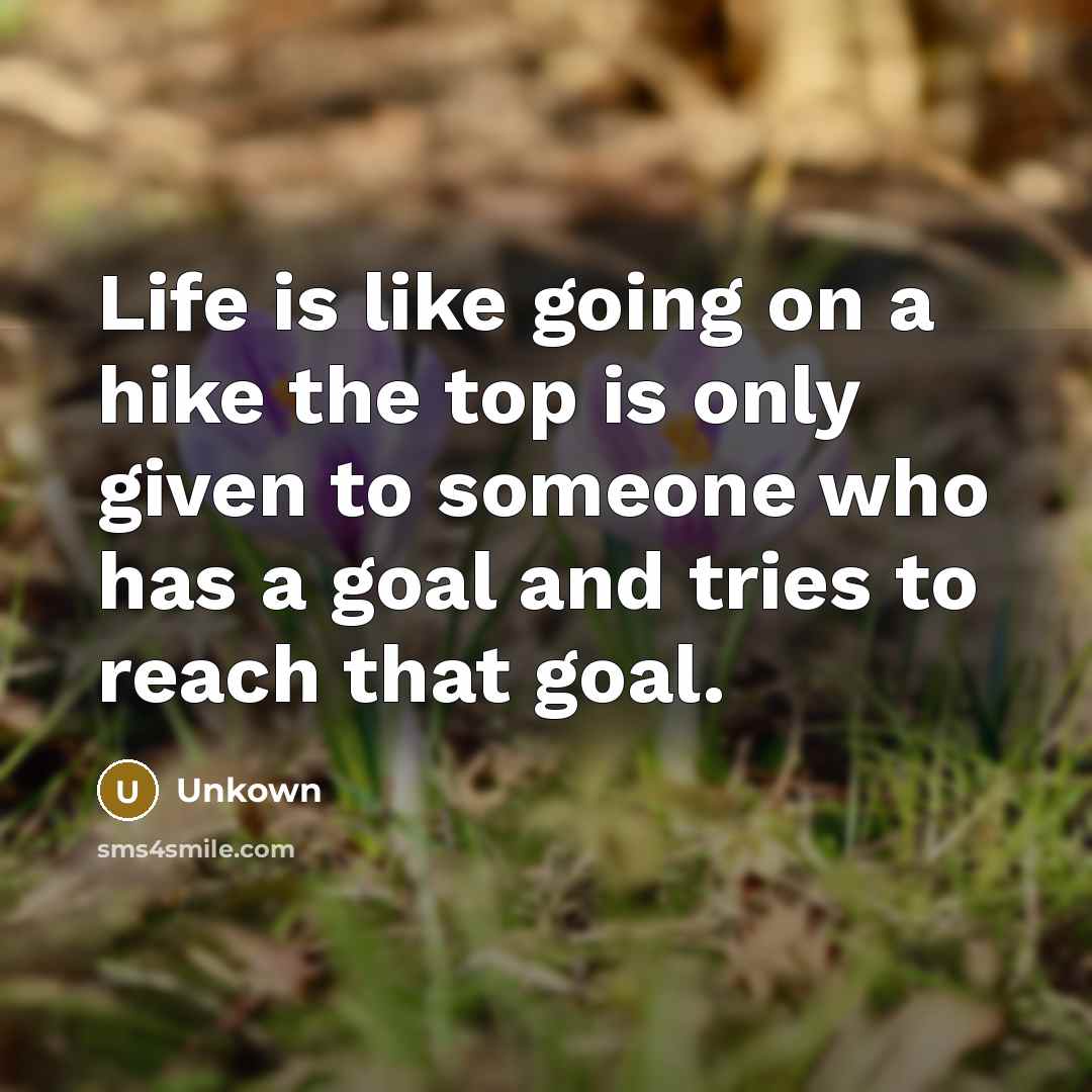 “Life is like going on a hike the top is…” quote by Unkown