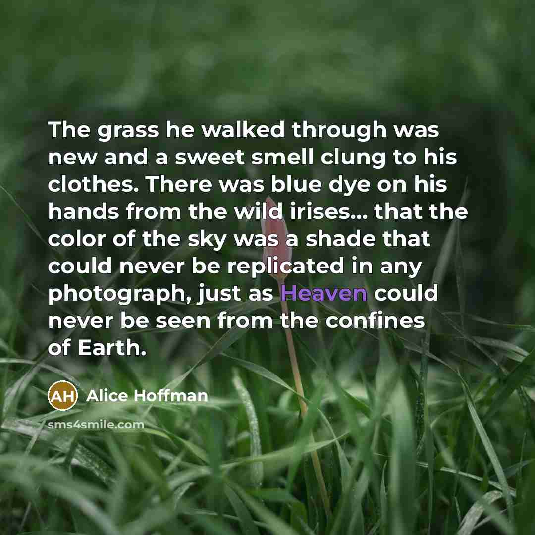 “The grass he walked through was new and a sweet…” quote by Alice Hoffman