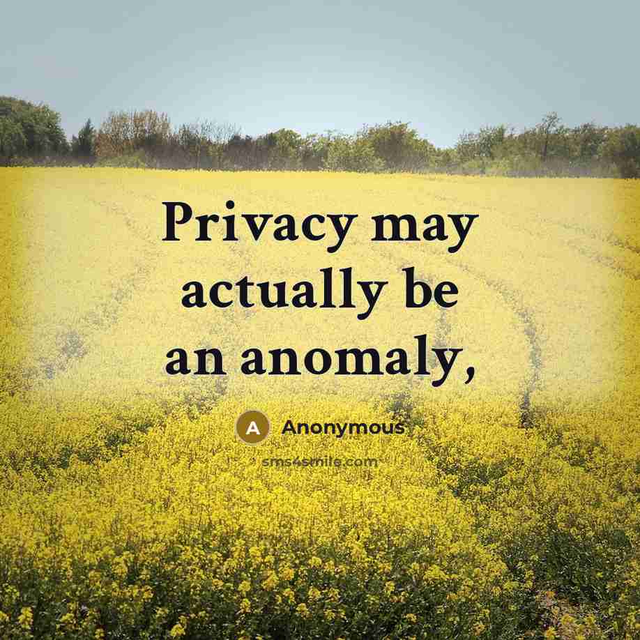 “Privacy may actually be an anomaly,” quote by Anonymous