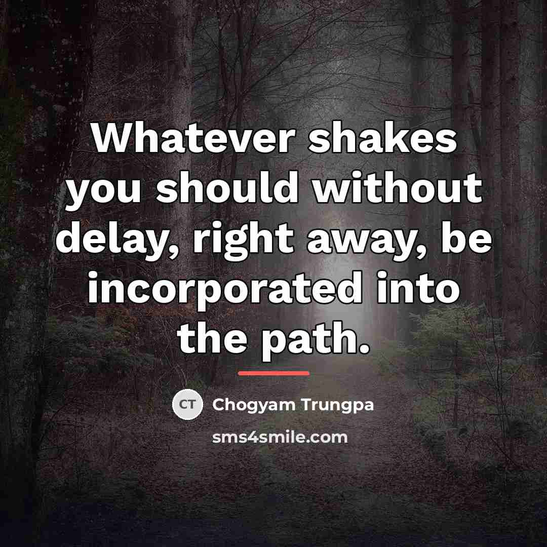 “Whatever shakes you should without delay, right away, be incorporated…” quote by Chogyam Trungpa