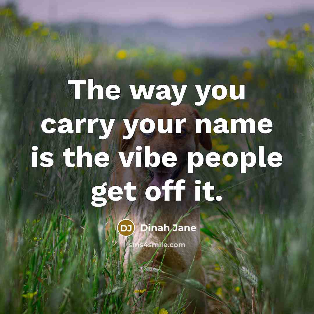 “The way you carry your name is the vibe people…” quote by Dinah Jane