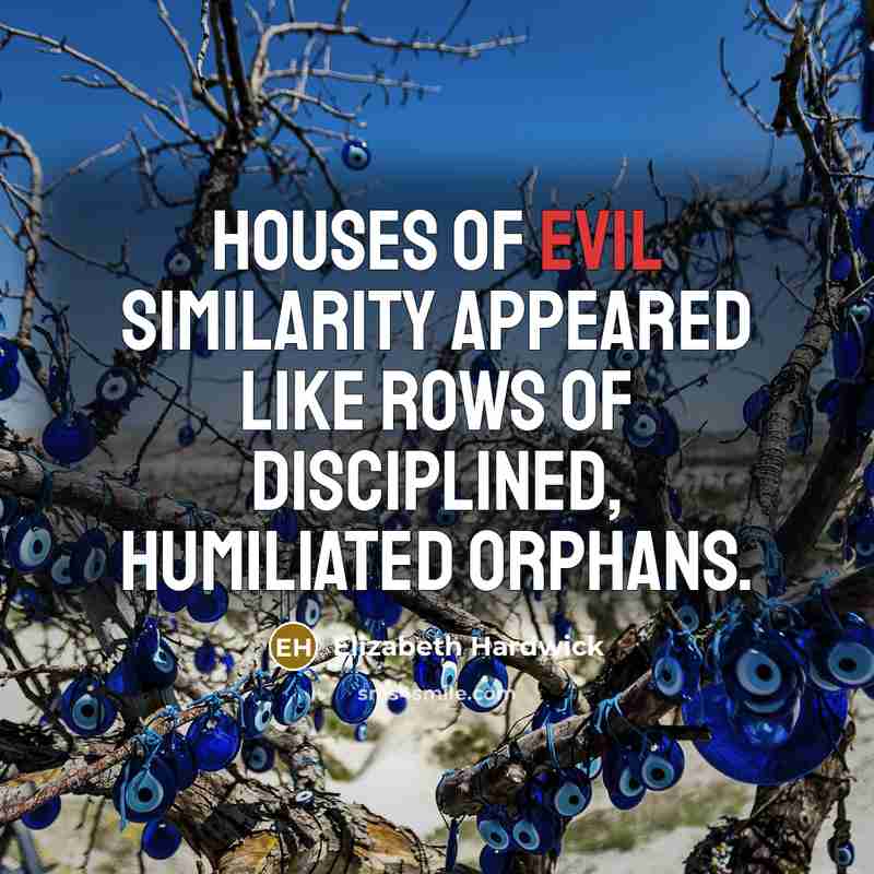 “Houses of evil similarity appeared like rows of disciplined, humiliated…” quote by Elizabeth Hardwick