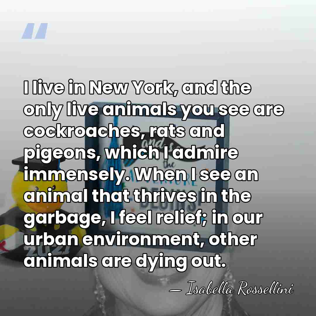 I live in New York, and the only live animals you see&hellip; - Isabella Rossellini