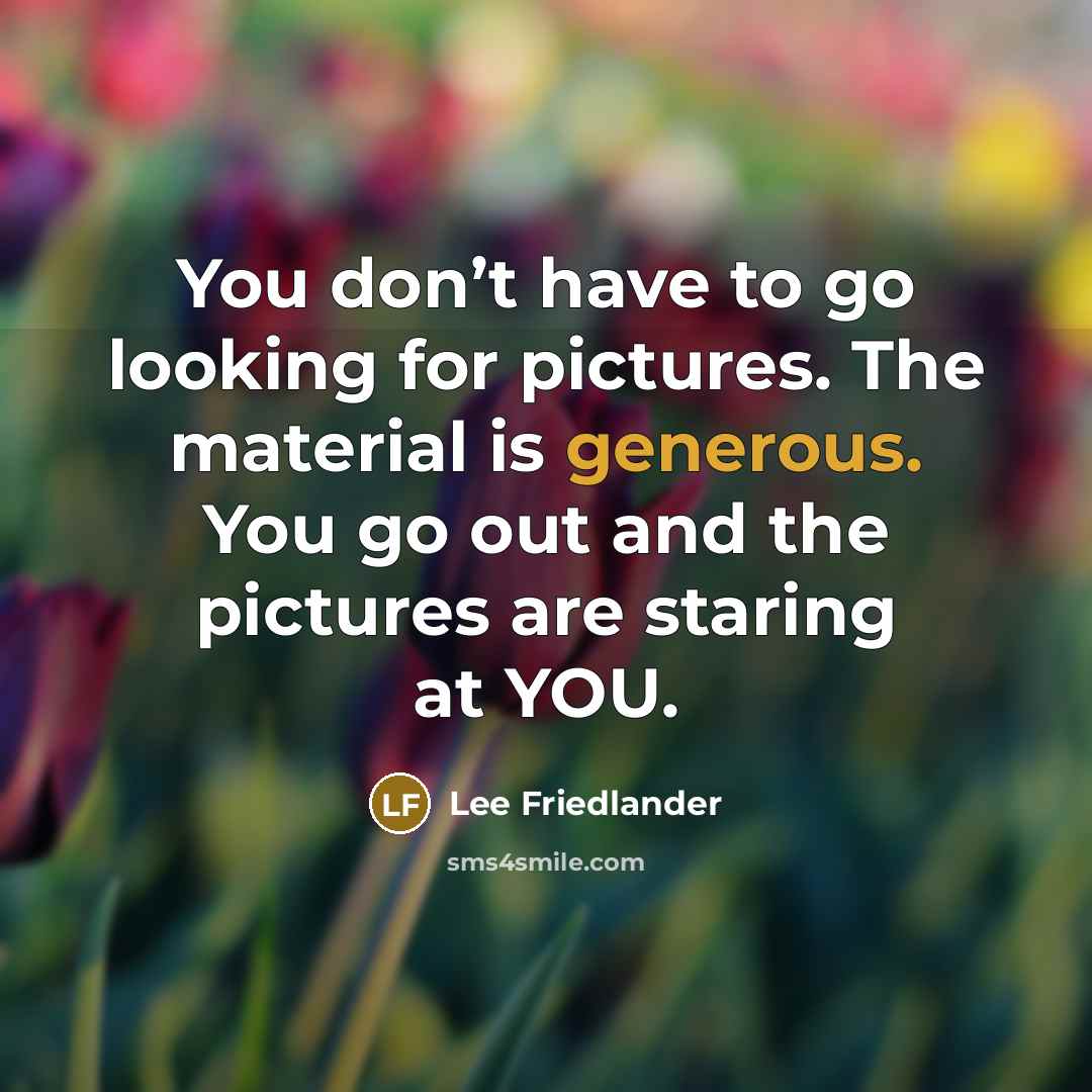 “You don’t have to go looking for pictures. The material…” quote by Lee Friedlander