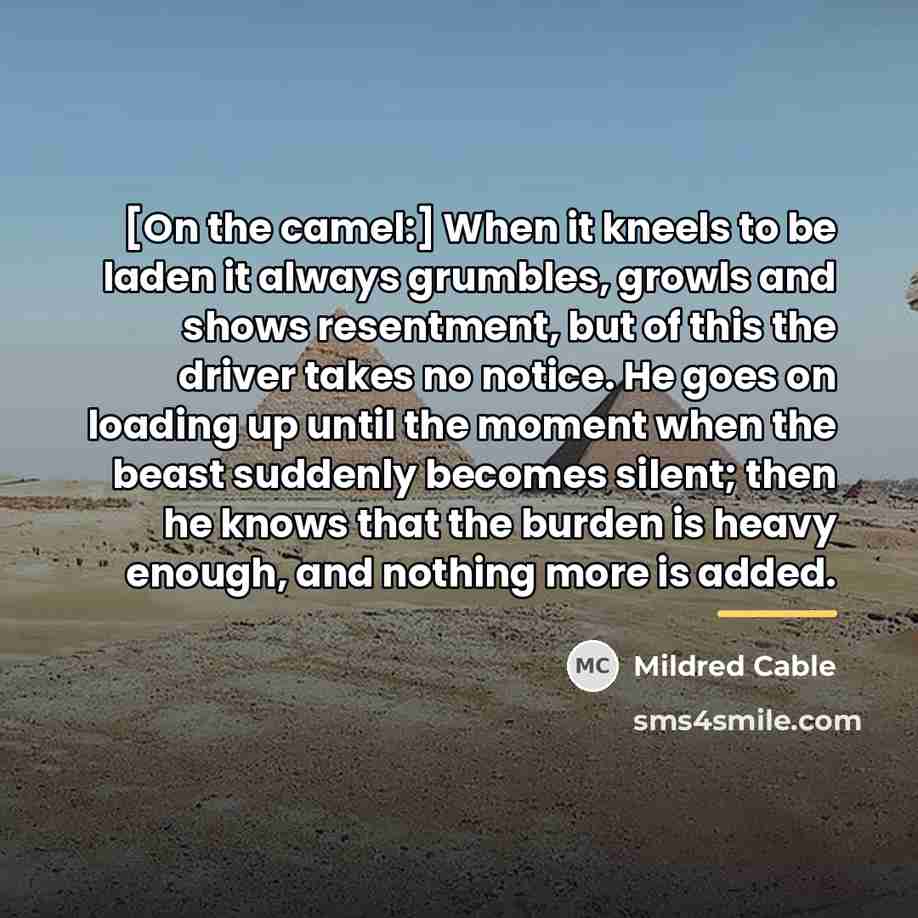 “[On the camel:] When it kneels to be laden it…” quote by Mildred Cable