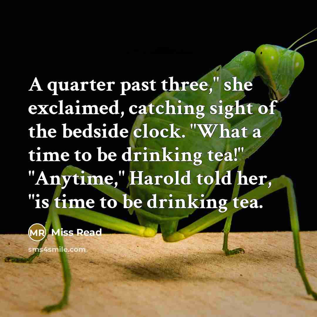 “A quarter past three," she exclaimed, catching sight of the bedside clock. "What a time to be drinking tea!" "Anytime," Harold told her, "is time to be drinking tea.” quote by Miss Read