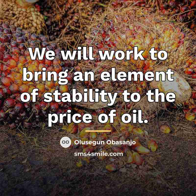 “We will work to bring an element of stability to…” quote by Olusegun Obasanjo