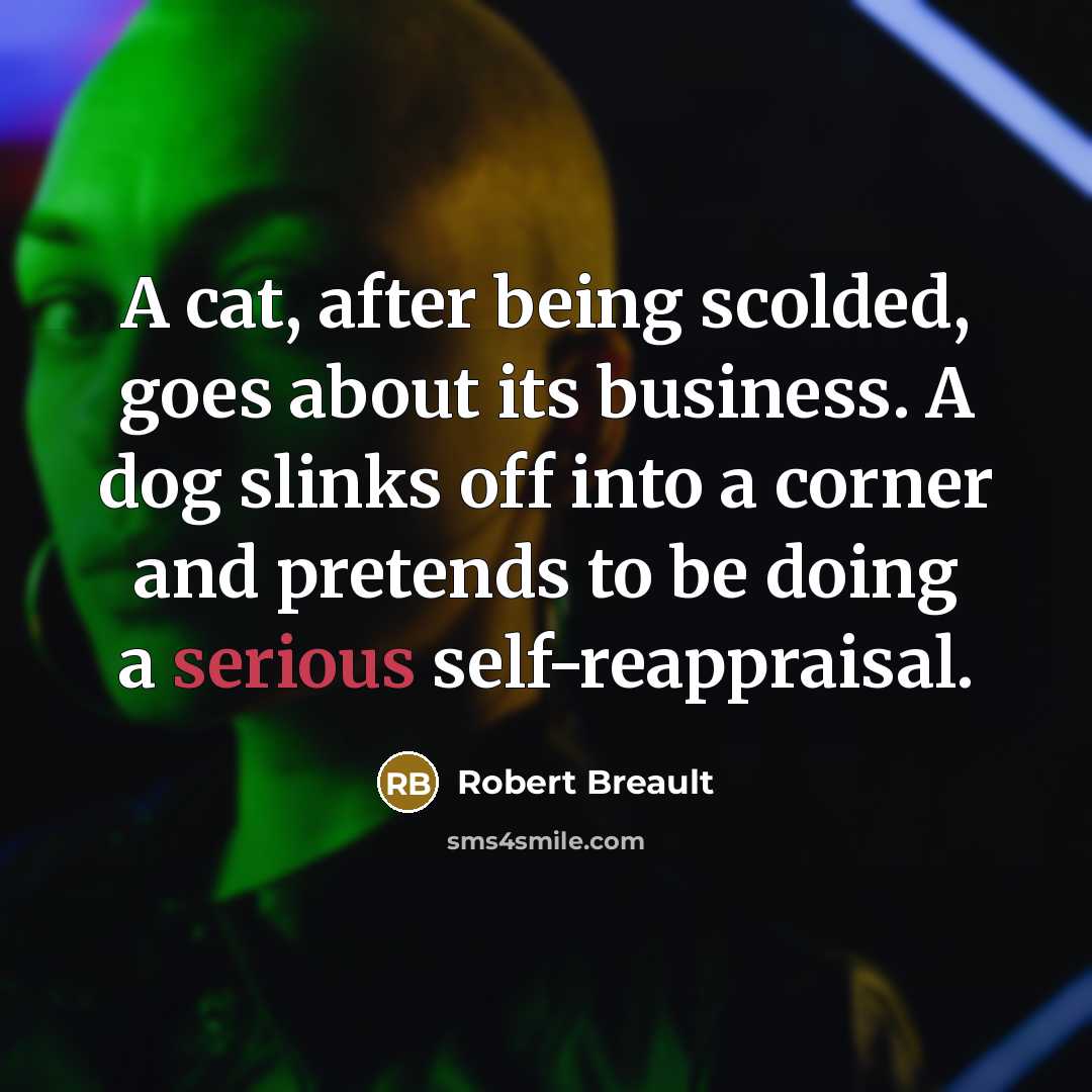 “A cat, after being scolded, goes about its business. A…” quote by Robert Breault