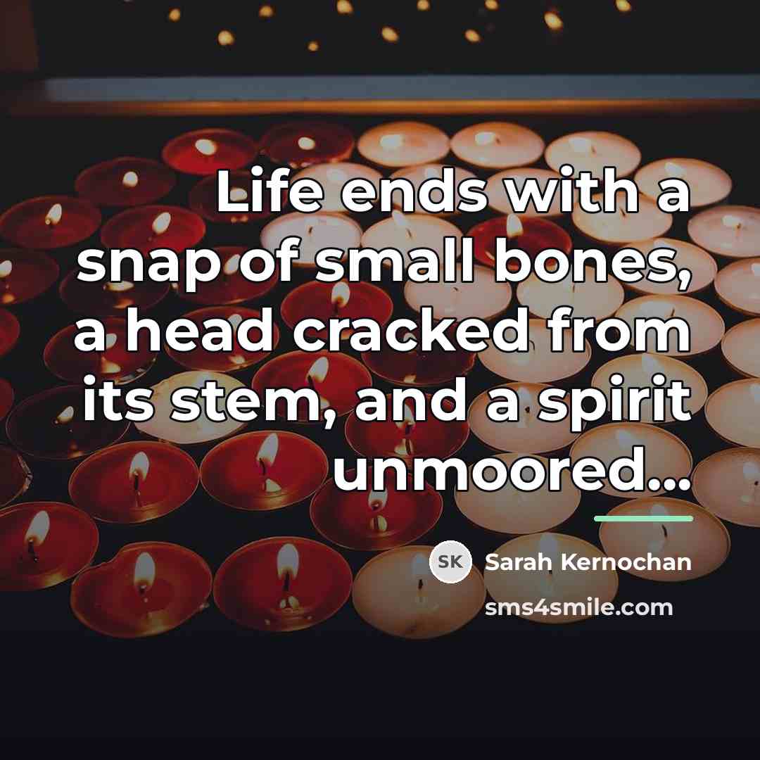“Life ends with a snap of small bones, a head…” quote by Sarah Kernochan