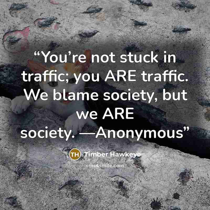 “You’re not stuck in traffic; you ARE traffic. We blame society, but we ARE society. —Anonymous” quote by Timber Hawkeye