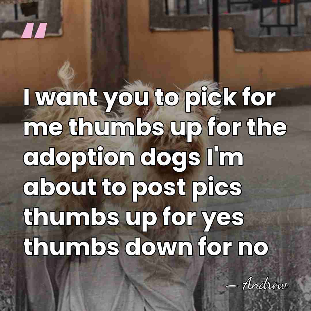 I want you to pick for me thumbs up for the adoption&hellip; - Andrew