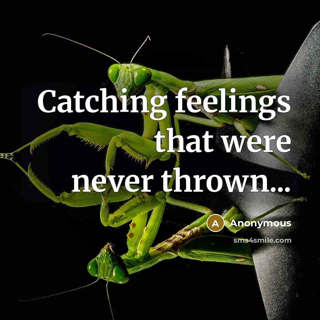 “Catching feelings that were never thrown...” quote by Anonymous