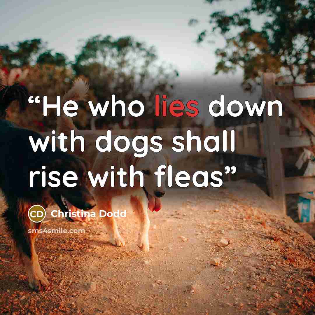 “He who lies down with dogs shall rise with fleas” quote by Christina Dodd