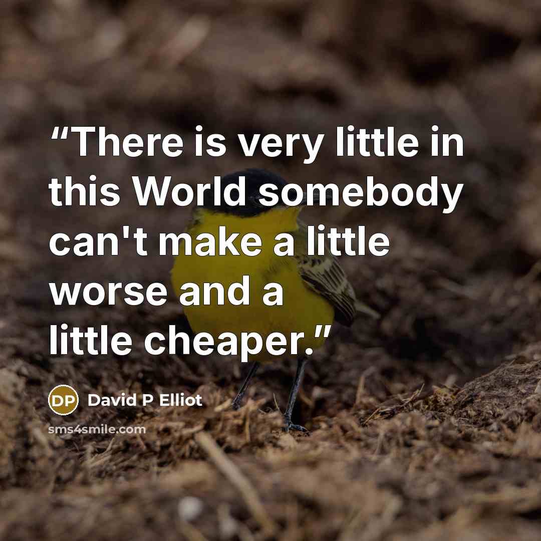 “There is very little in this World somebody can't make a little worse and a little cheaper.” quote by David P Elliot