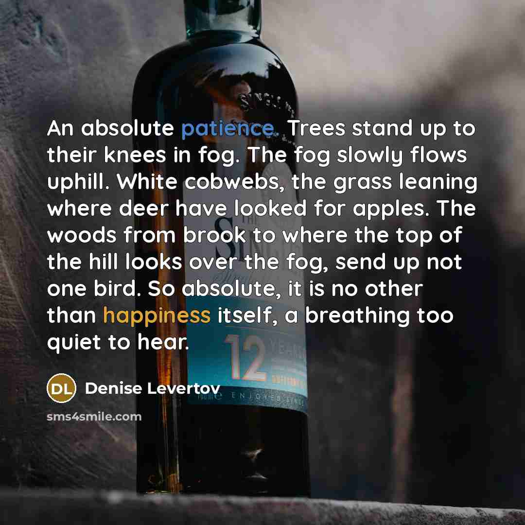 “An absolute patience. Trees stand up to their knees in…” quote by Denise Levertov