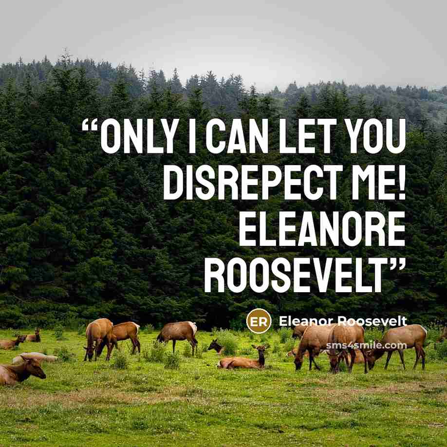 “Only I can let you disrepect me! Eleanore Roosevelt” quote by Eleanor Roosevelt
