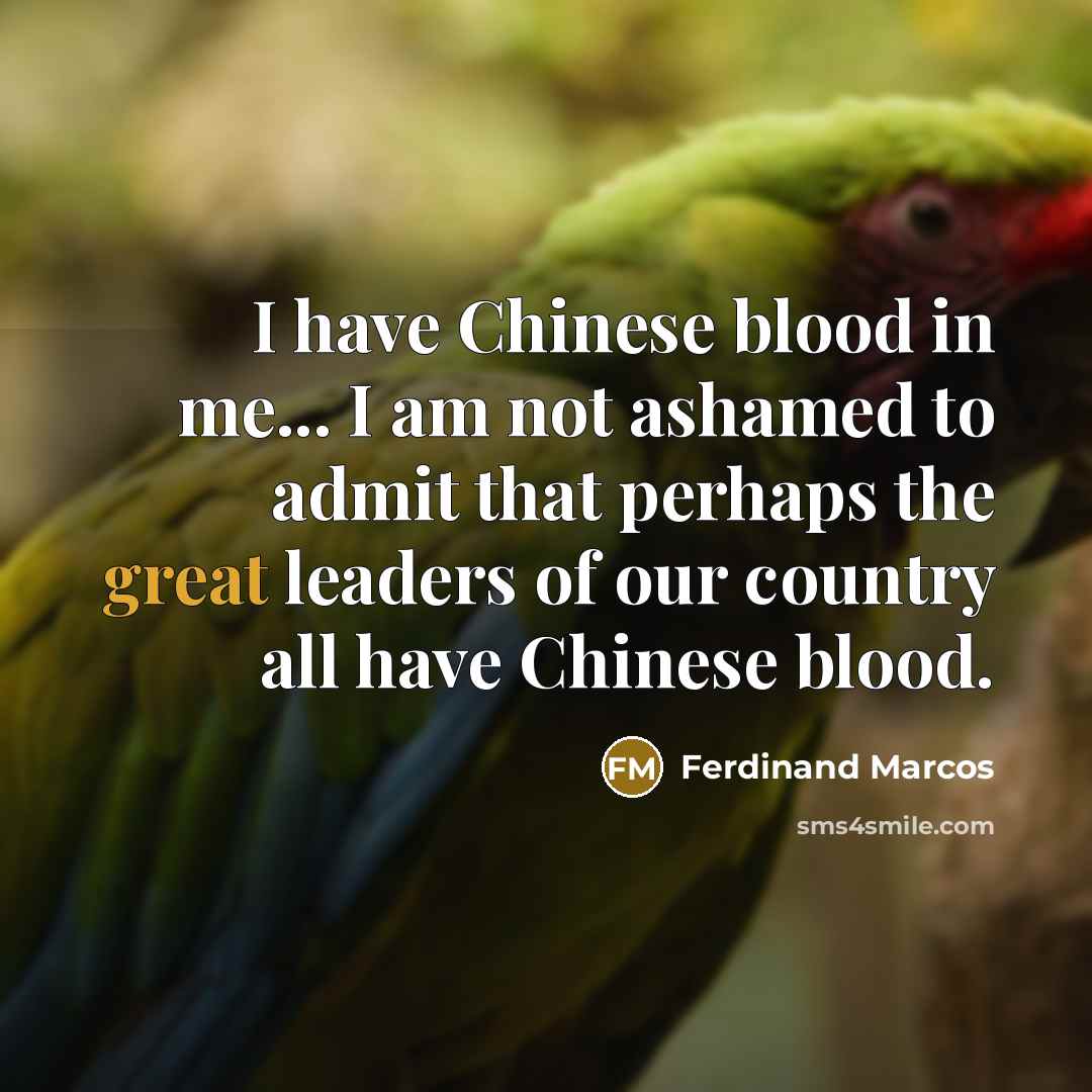 “I have Chinese blood in me... I am not ashamed…” quote by Ferdinand Marcos