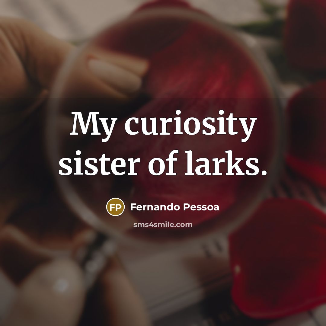 “My curiosity sister of larks.…” quote by Fernando Pessoa