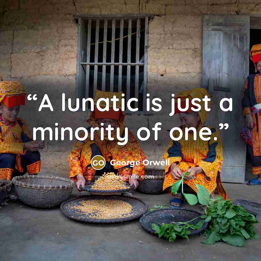 “A lunatic is just a minority of one.” quote by George Orwell