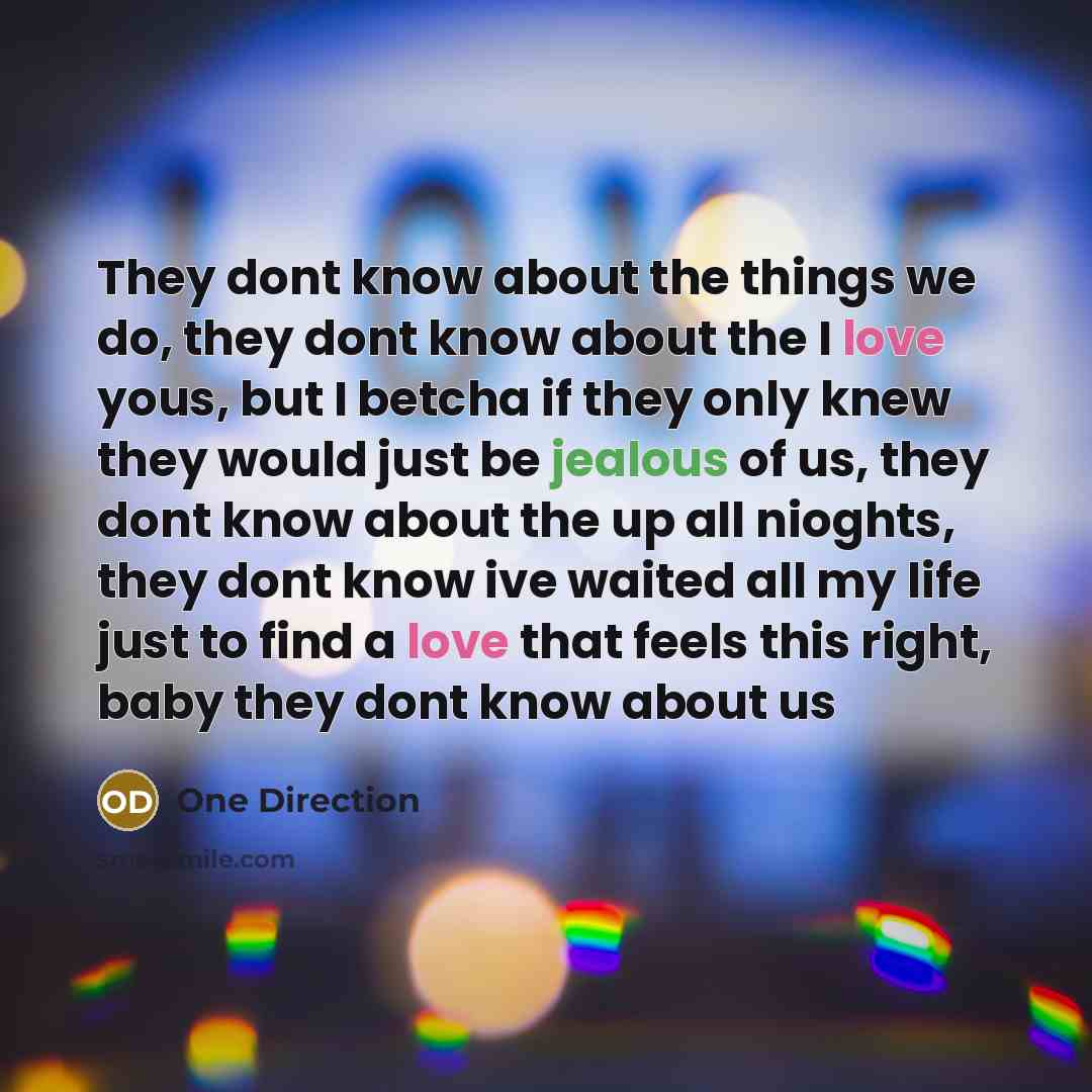 “They dont know about the things we do, they dont know about the I love yous, but I betcha if they only knew they would just be jealous of us, they dont know about the up all nioghts, they dont know ive waited all my life just to find a love that feels this right, baby they dont know about us” quote by One Direction