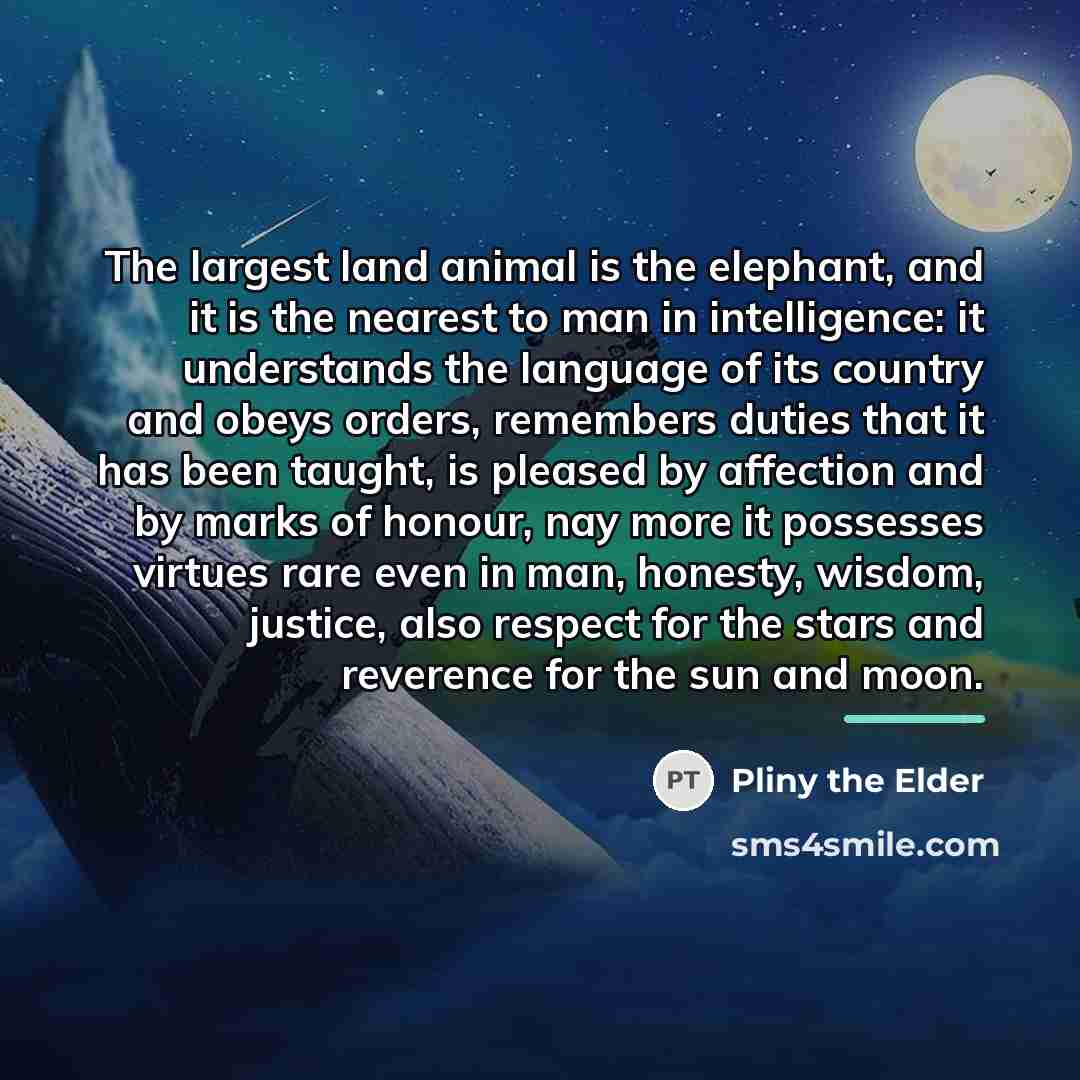 “The largest land animal is the elephant, and it is…” quote by Pliny the Elder