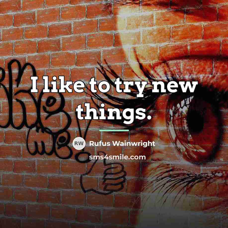 “I like to try new things.…” quote by Rufus Wainwright