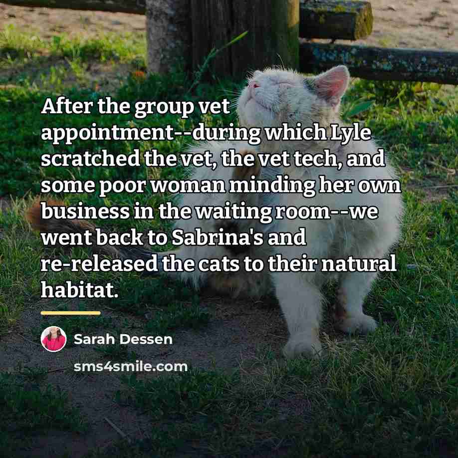 “After the group vet appointment--during which Lyle scratched the vet,…” quote by Sarah Dessen