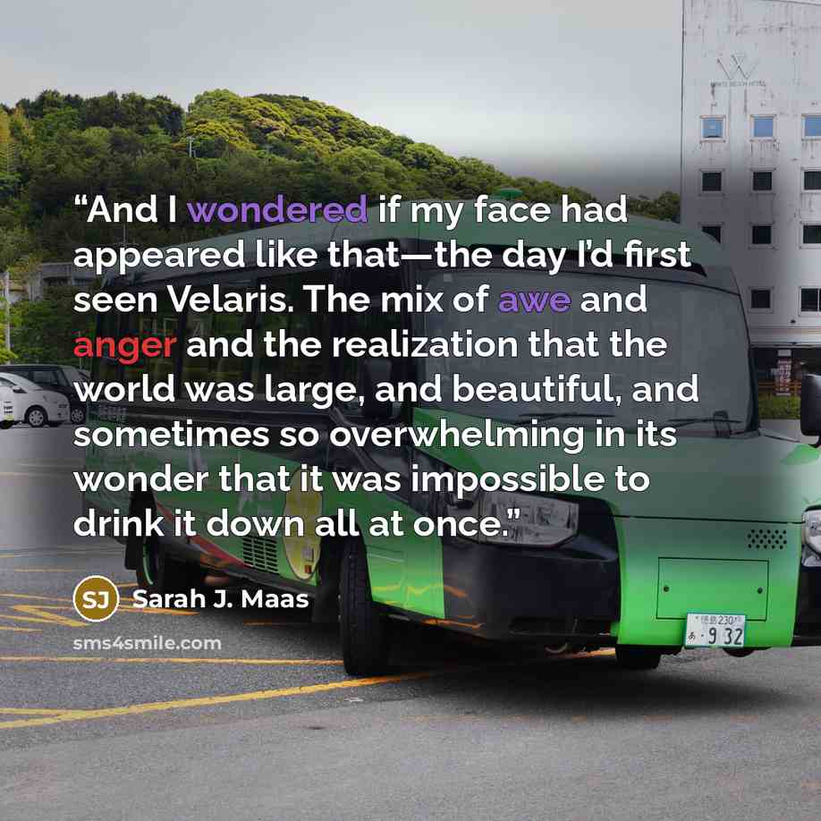 “And I wondered if my face had appeared like that—the day I’d first seen Velaris. The mix of awe and anger and the realization that the world was large, and beautiful, and sometimes so overwhelming in its wonder that it was impossible to drink it down all at once.” quote by Sarah J. Maas