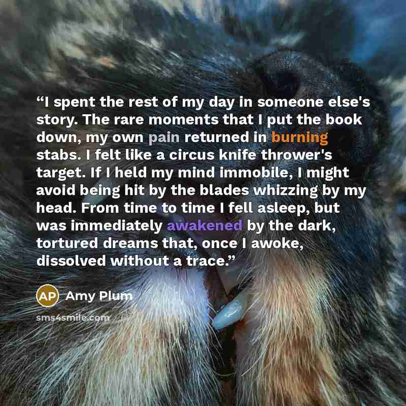 “I spent the rest of my day in someone else's story. The rare moments that I put the book down, my own pain returned in burning stabs. I felt like a circus knife thrower's target. If I held my mind immobile, I might avoid being hit by the blades whizzing by my head. From time to time I fell asleep…” quote by Amy Plum