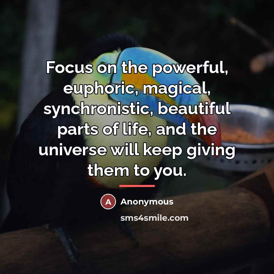 “Focus on the powerful, euphoric, magical, synchronistic, beautiful parts of…” quote by Anonymous