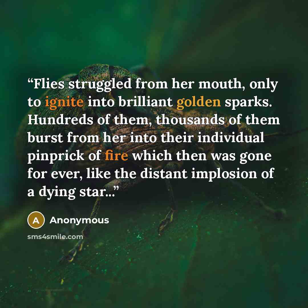 “Flies struggled from her mouth, only to ignite into brilliant golden sparks. Hundreds of them, thousands of them burst from her into their individual pinprick of fire which then was gone for ever, like the distant implosion of a dying star...” quote by Anonymous