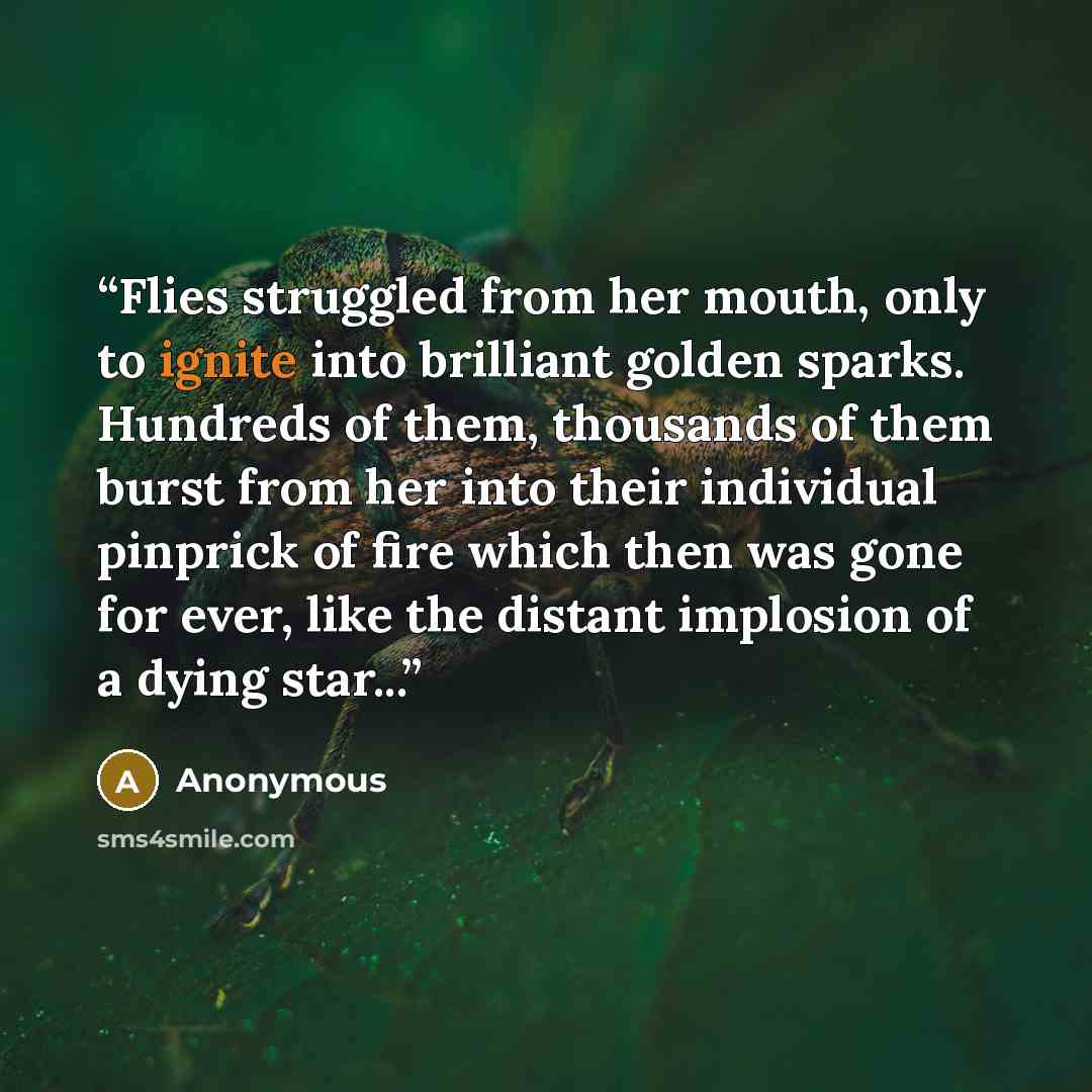 “Flies struggled from her mouth, only to ignite into brilliant golden sparks. Hundreds of them, thousands of them burst from her into their individual pinprick of fire which then was gone for ever, like the distant implosion of a dying star...” quote by Anonymous