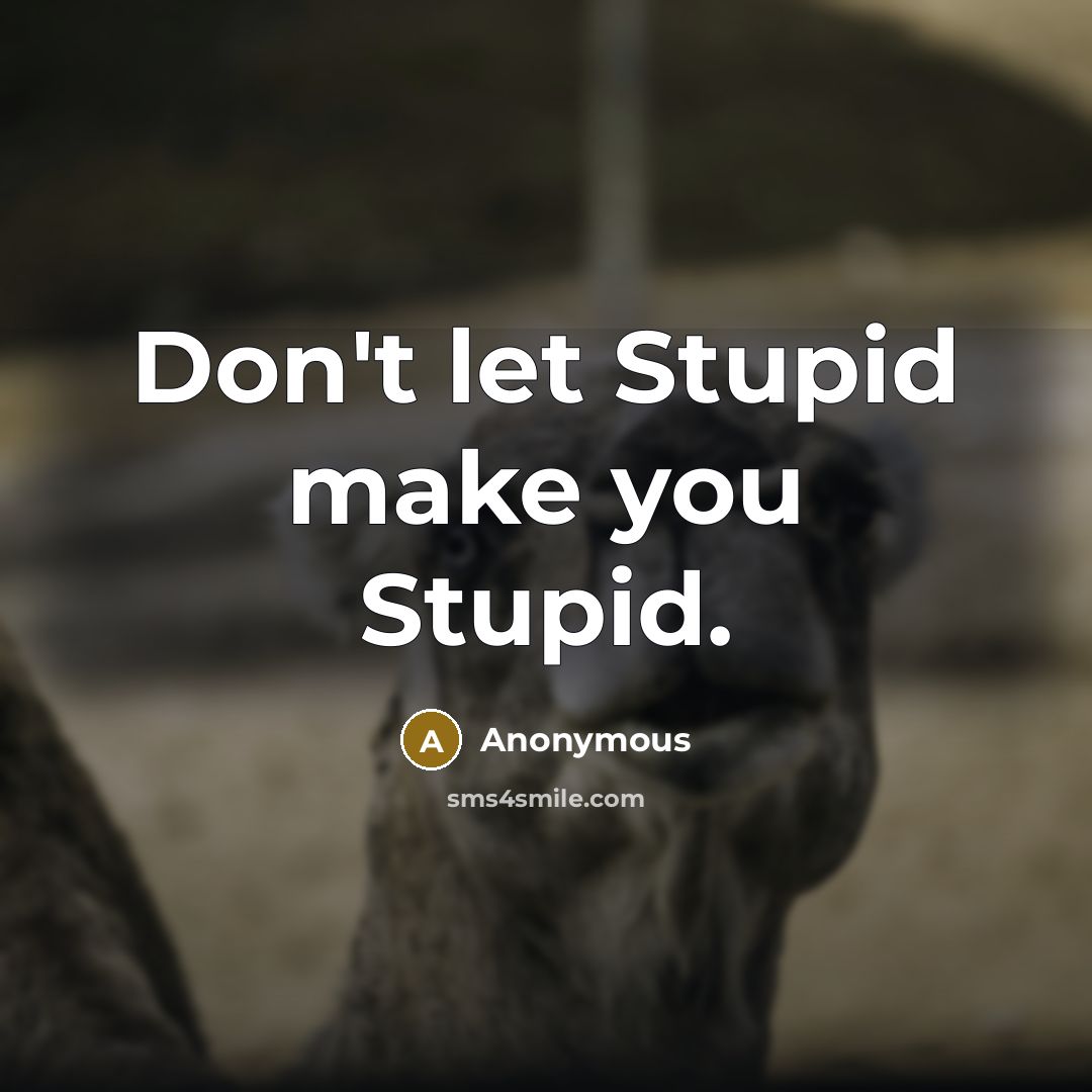 “Don't let Stupid make you Stupid.” quote by Anonymous