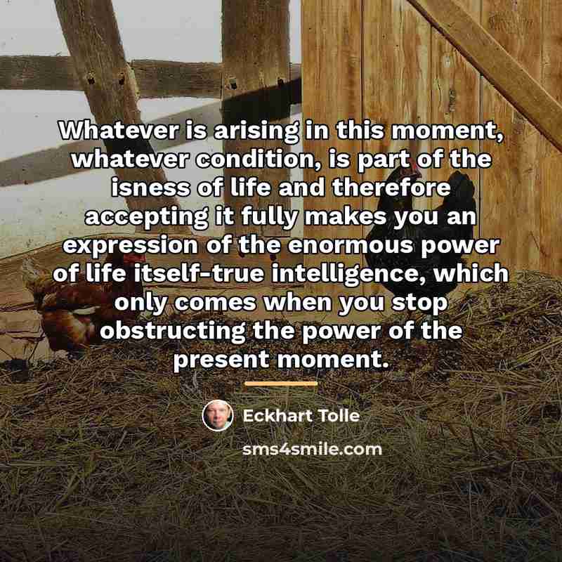 “Whatever is arising in this moment, whatever condition, is part…” quote by Eckhart Tolle