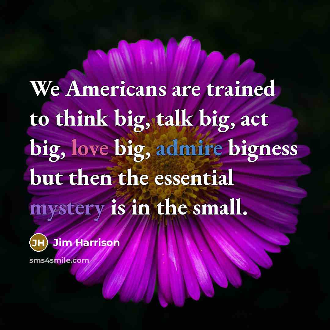 “We Americans are trained to think big, talk big, act…” quote by Jim Harrison