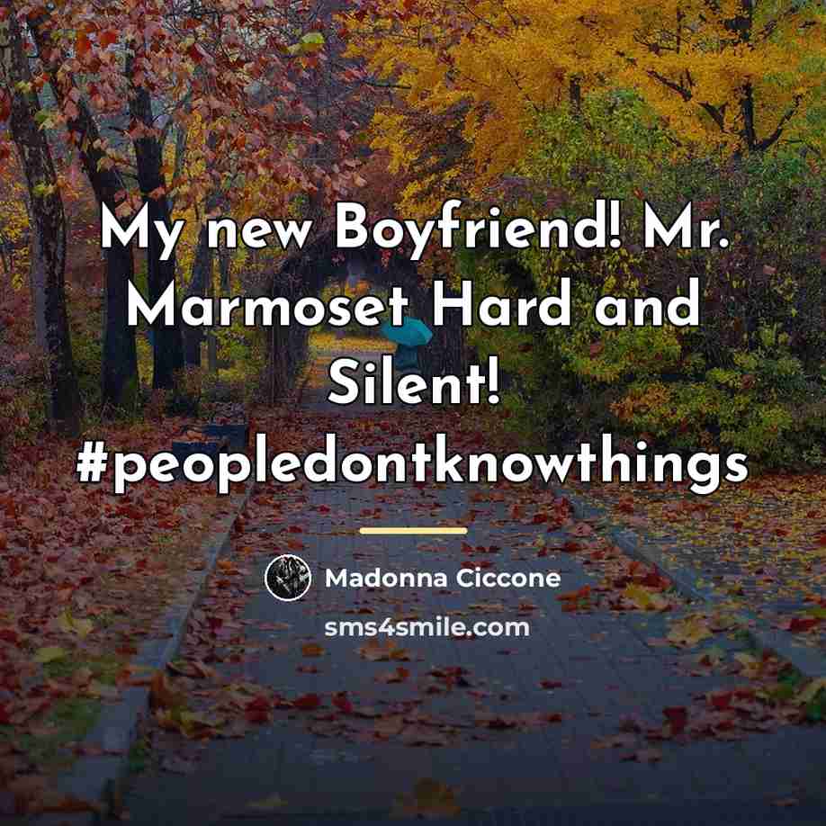 “My new Boyfriend! Mr. Marmoset Hard and Silent! #peopledontknowthings…” quote by Madonna Ciccone