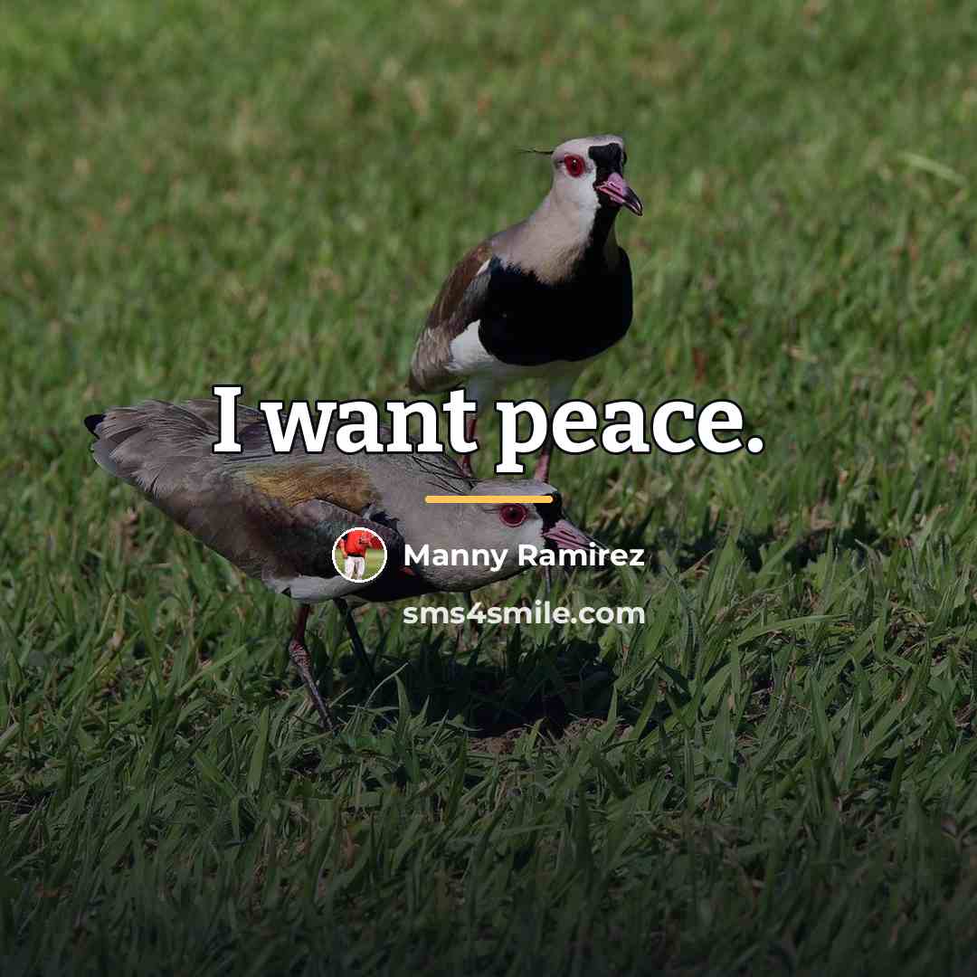 “I want peace.…” quote by Manny Ramirez