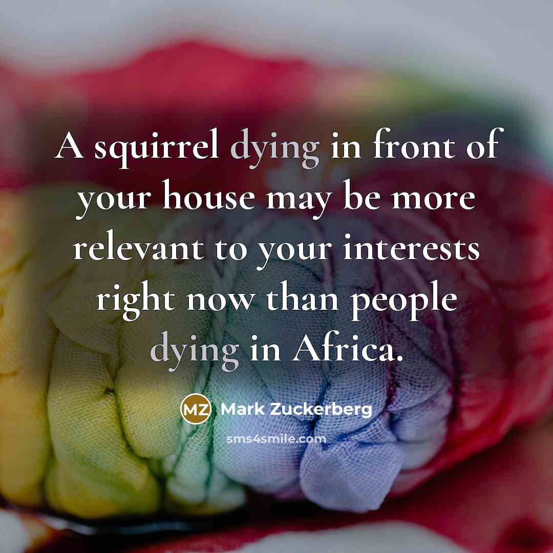 “A squirrel dying in front of your house may be…” quote by Mark Zuckerberg